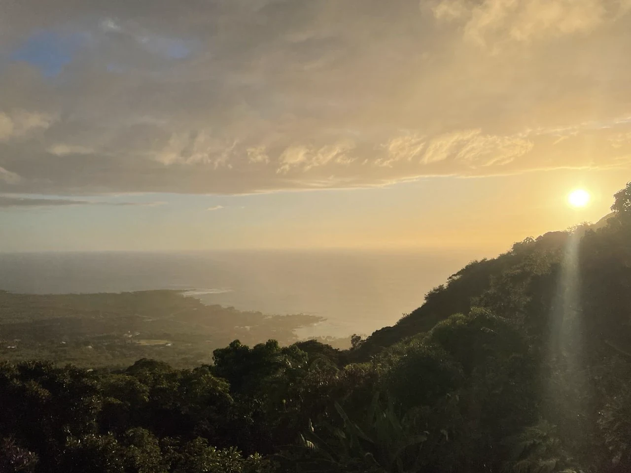 Anna Kolmykova — Systemic Constellation Facilitator